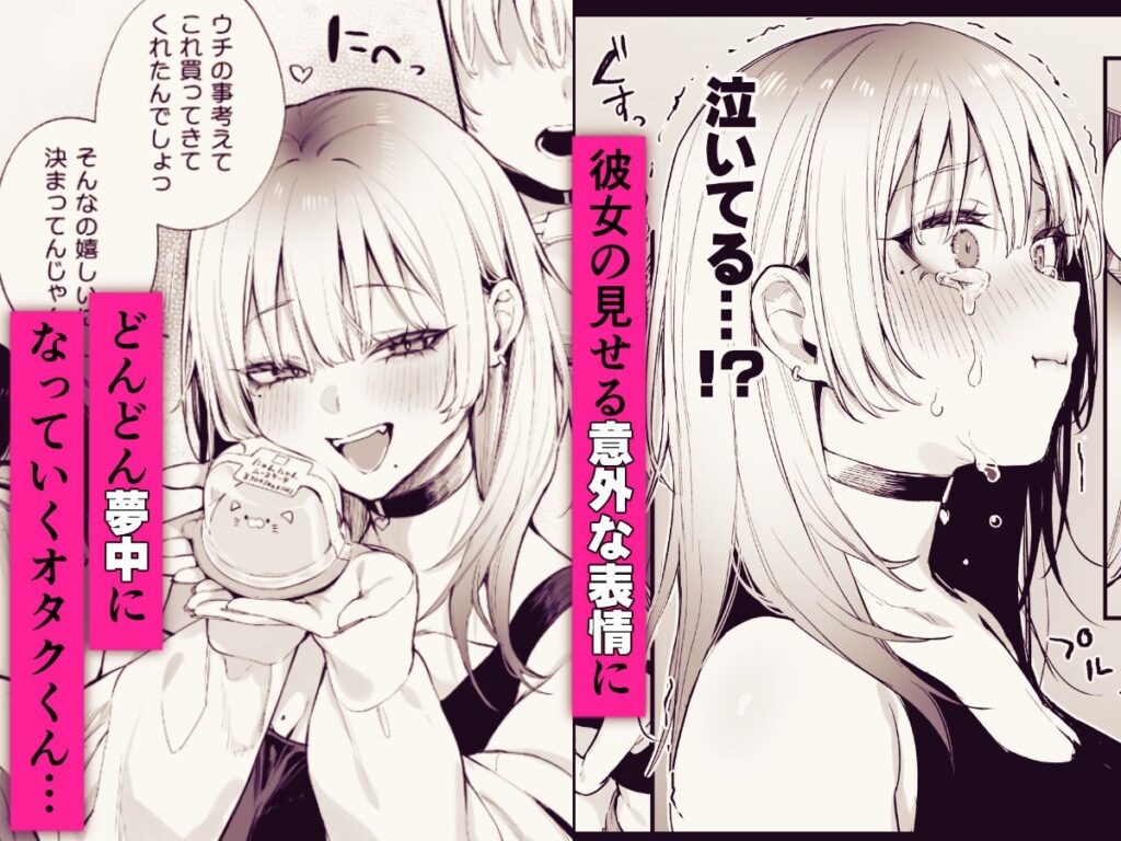 一晩泊めてよ、オタクくん(だにまる)