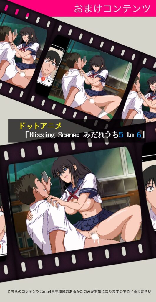 みだれうち6 カノジョ調教完了編(サイクロン)