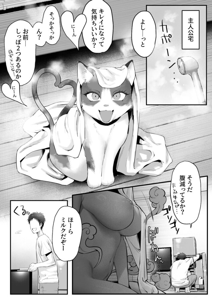 拾った猫がギャルで極道の娘だった話 / 限界発電所