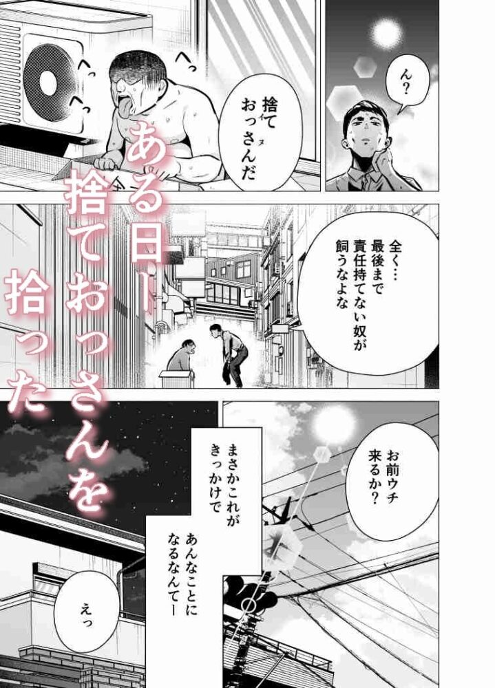 妻がおっさんに寝取られた話 / たつわの里