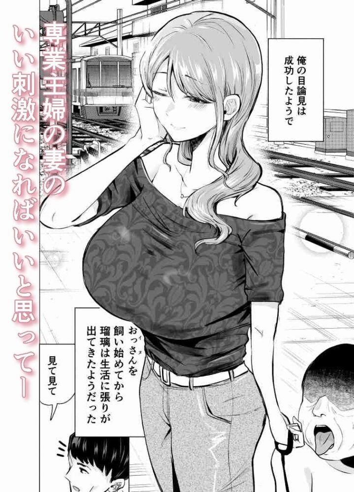 妻がおっさんに寝取られた話 / たつわの里