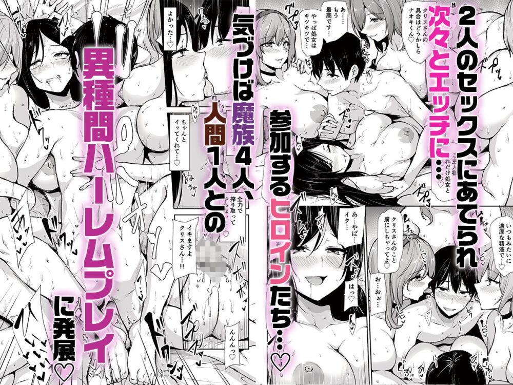 異世界ハーレム物語10 / しまぱん